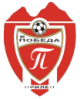 https://img.euroasiasemiconductor.com/img/football/team/b553366f9fdb161b46a9b284aee95a11.png